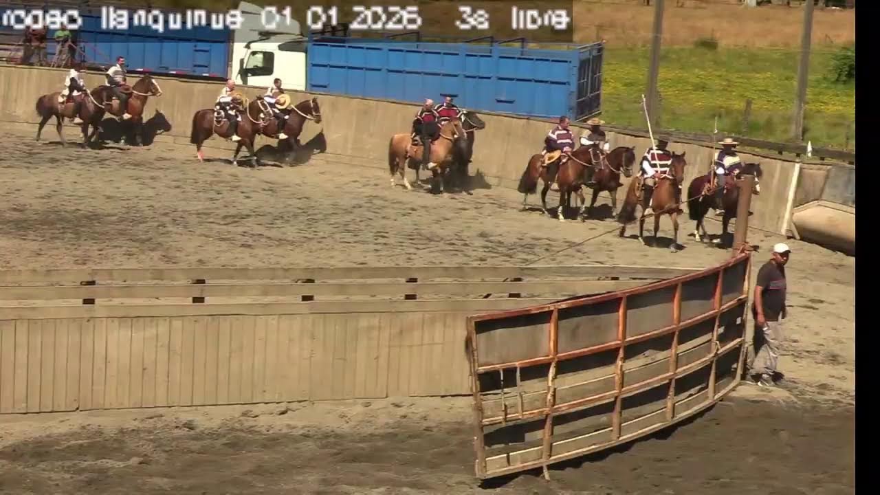 Emisión en directo de Asoc. Lago Llanquihue