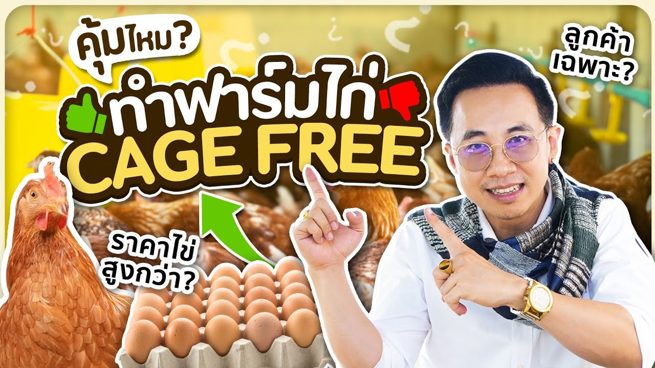 เลือกวิธีเลี้ยงไก่ดี มีสิทธิ์รวยไม่รู้ตัว!!