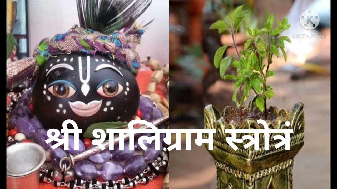 श्री शालिग्राम स्त्रोत्रं ll Shree Shaligram Strotram ll Bhagwan Vishnu Tulsi Ji