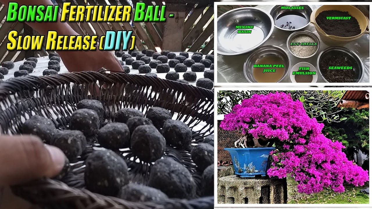 Bonsai Fertilizer Balls (Slow Release) - [DIY] EP#01