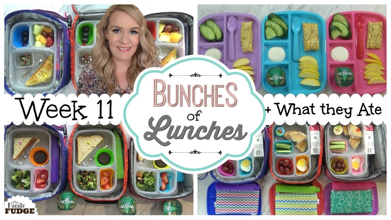 School Lunch Ideas for KIDS + What They Ate | JK, K, 1st grade, 2nd Grade | BUNCHES of LUNCHES