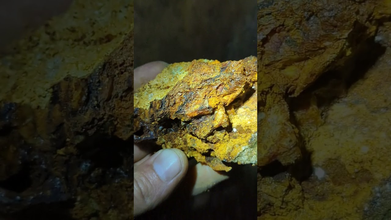 Mine Exploration - Free Mill Gold