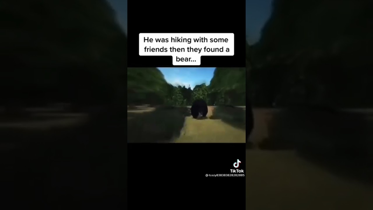 wrost animal attacks on humans..😱 #attack #animal #regret