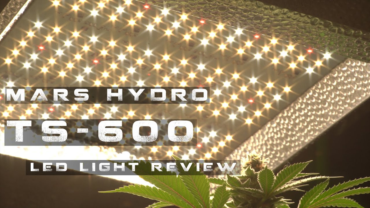 Mars Hydro TS 600 Unboxing and first Review
