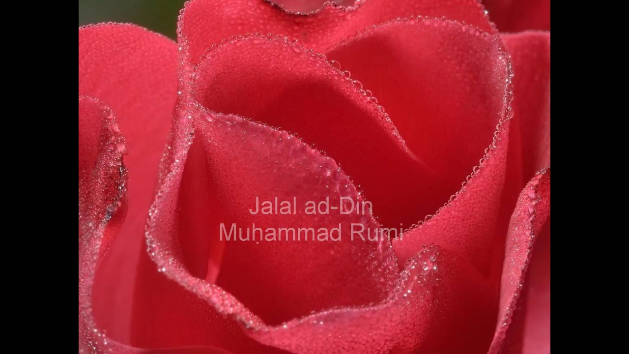 Rumi -  No expectations