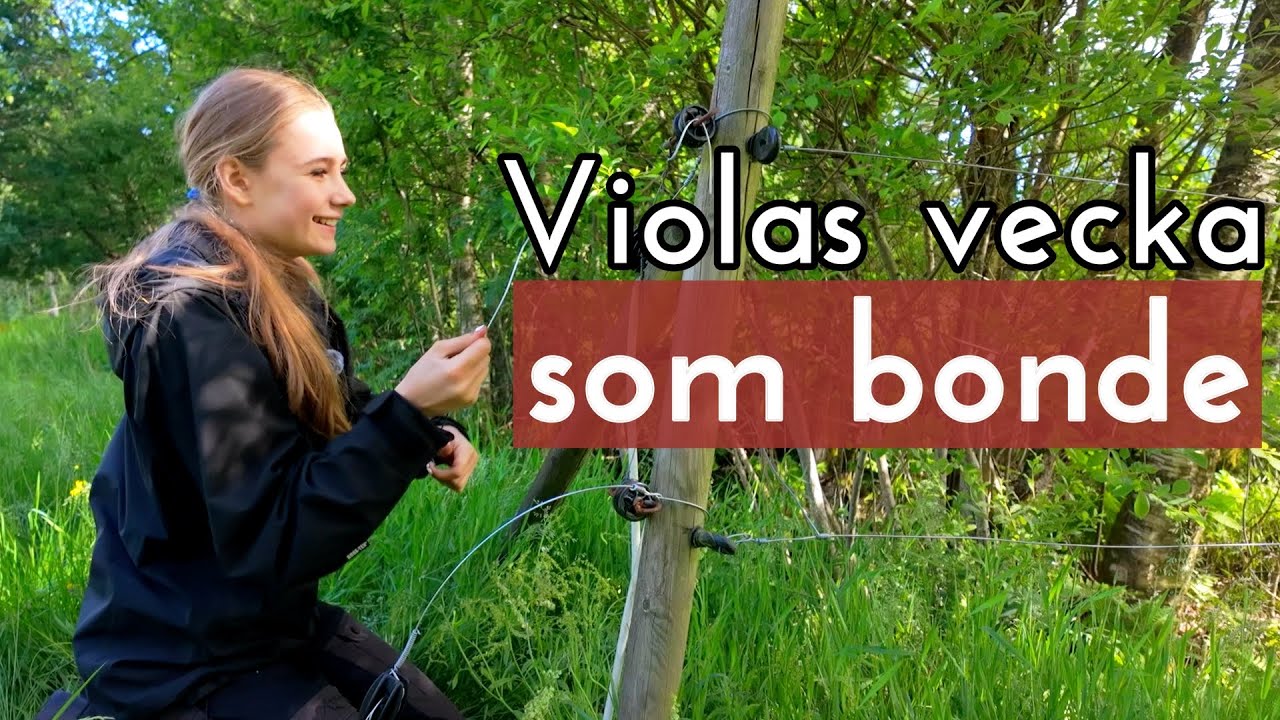 Viola lär sig om regenerativt lantbruk på sin praktik