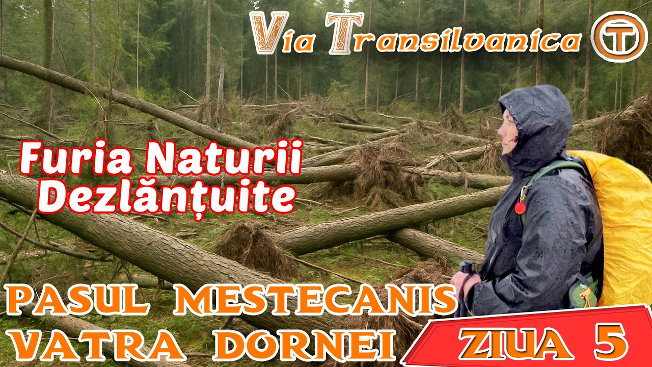 Via Transilvanica Ziua 5 | Mestecăniș – Vatra Dornei | De la Liniste la Haos - Traseul dupa furtuna