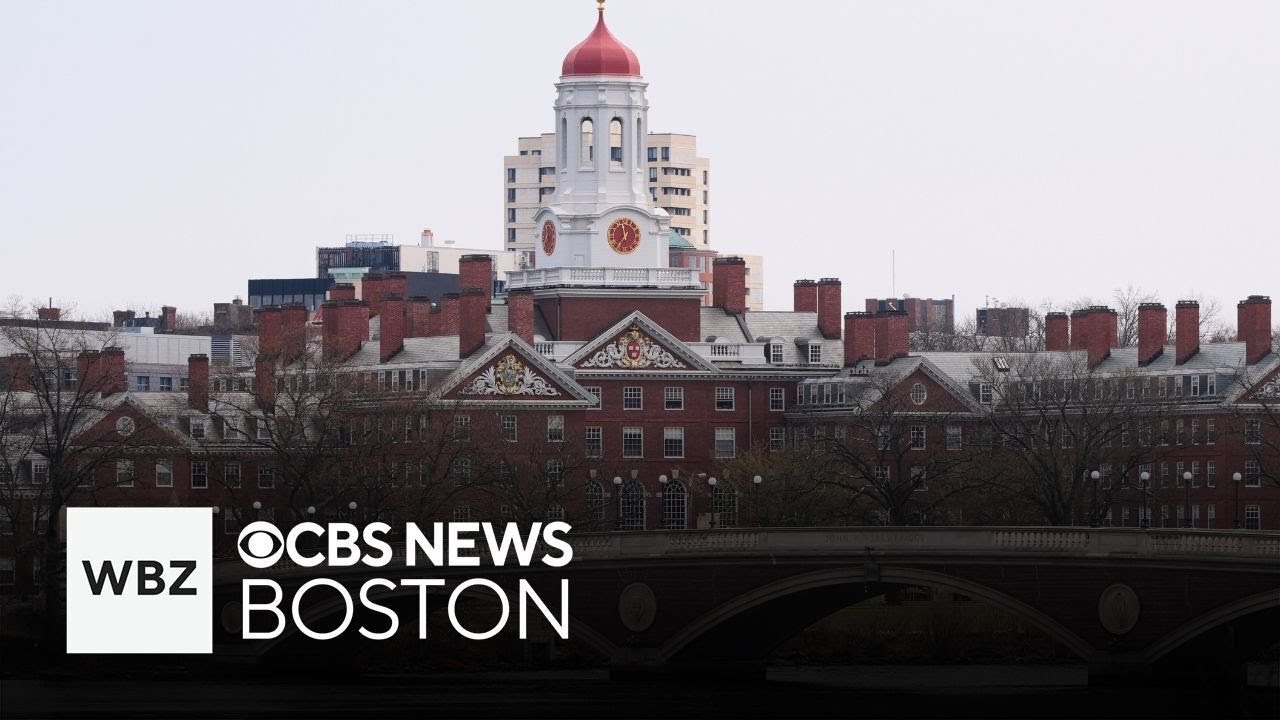 Harvard University professors pledge to donate part of salary to offset Trump funding cuts