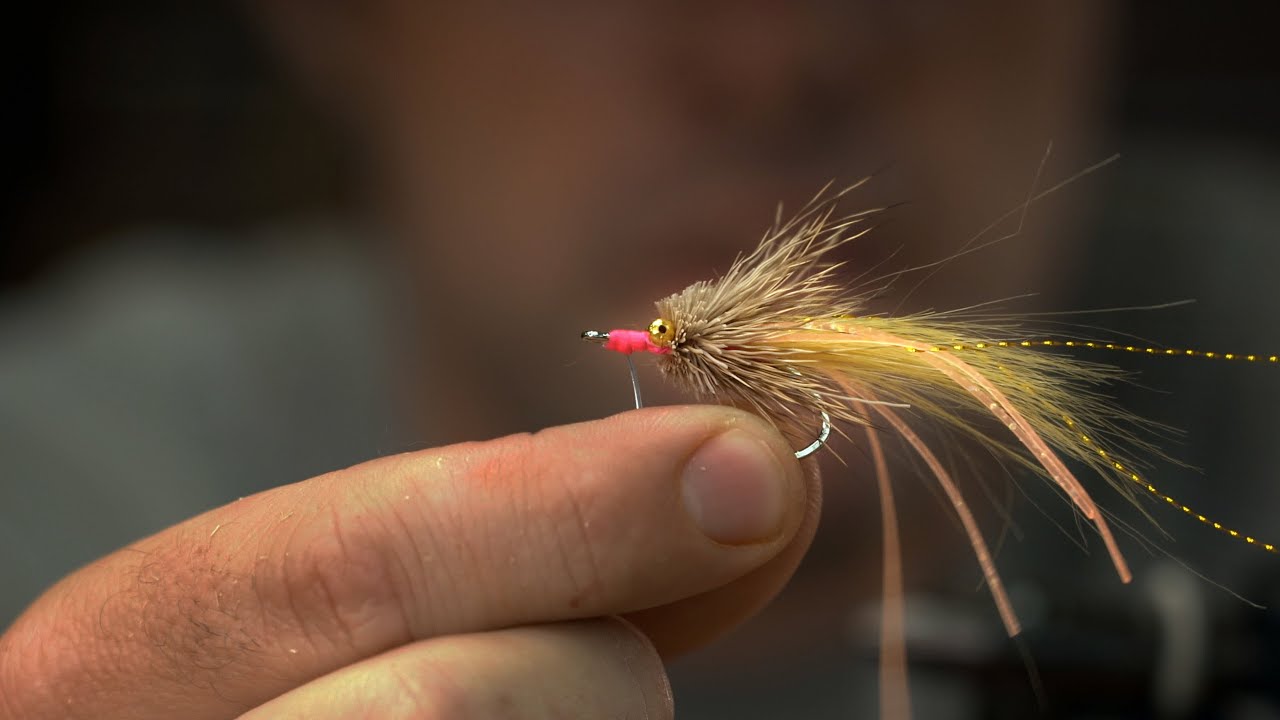 Suspending Shrimp Fly Tying Tutorial