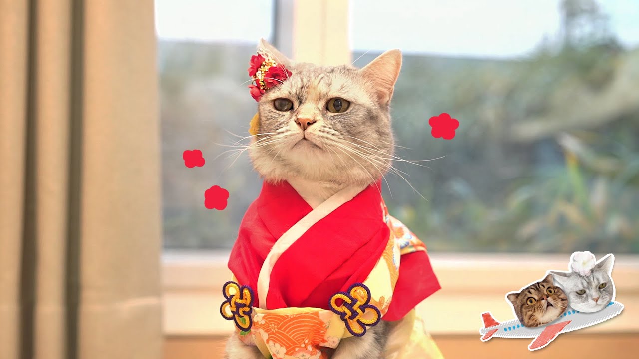 세상에서 제일 예쁜 티티를 위해 바다 건너 특별한 분이 찾아왔습니다