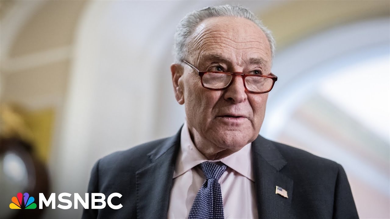 'I believe so strongly I did the right thing': Sen. Schumer on funding vote