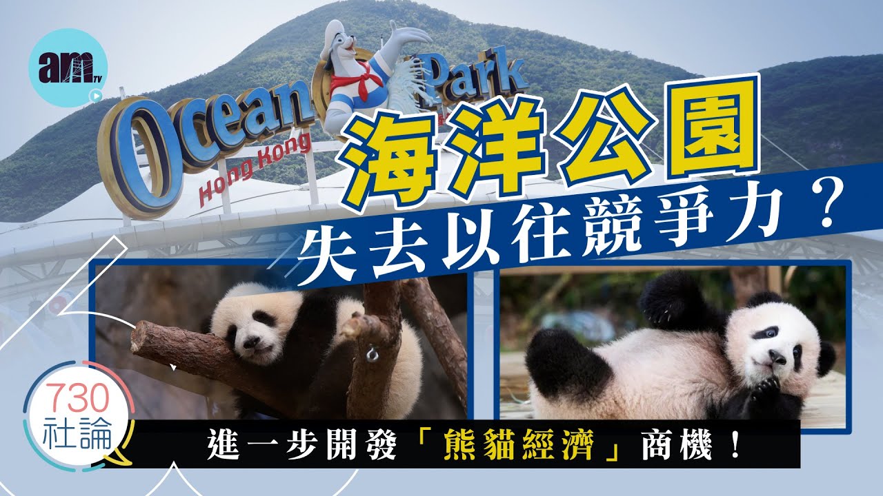 海洋公園失去以往競爭力？社論：進一步開發「熊貓經濟」商機！丨香港丨海洋公園丨大灣區丨熊貓經濟丨香港新聞丨#am730 #730社論 #社論