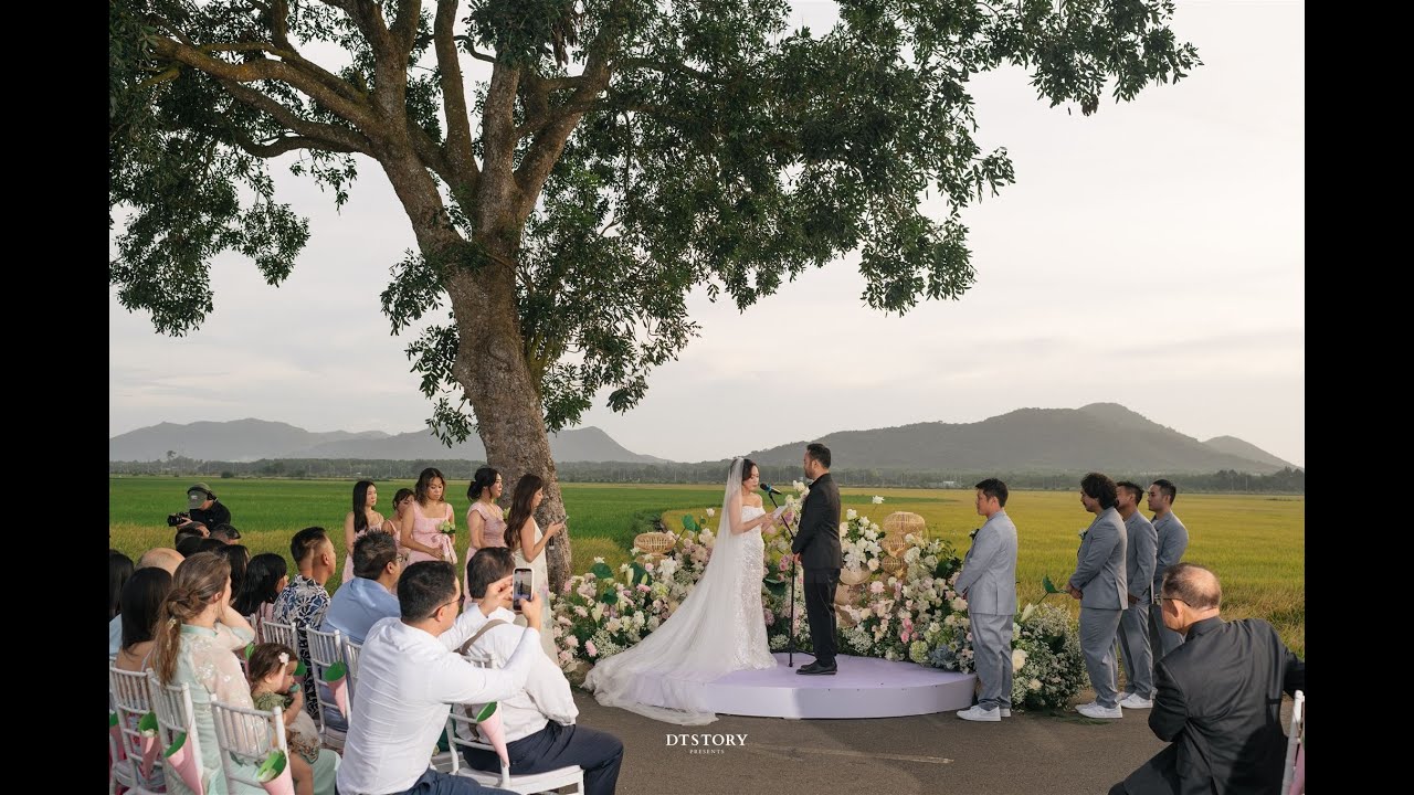 [DT Story] Wedding of C&D