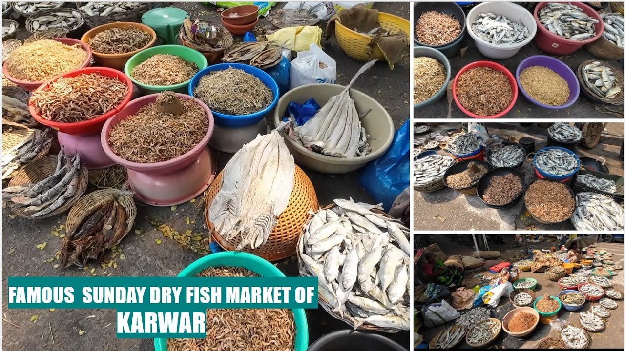FAMOUS SUNDAY DRY FISH MARKET OF KARWAR | DEC'24 |