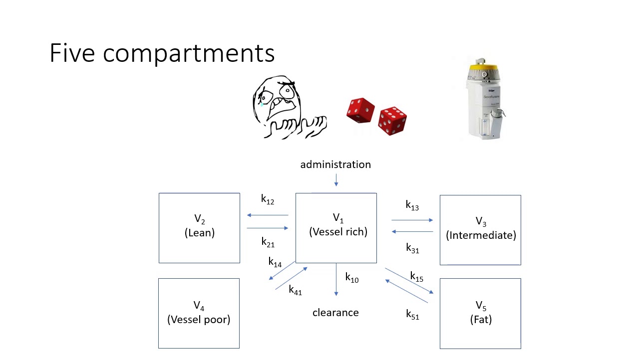 Pharmacokinetics series #3 - compartment modelling