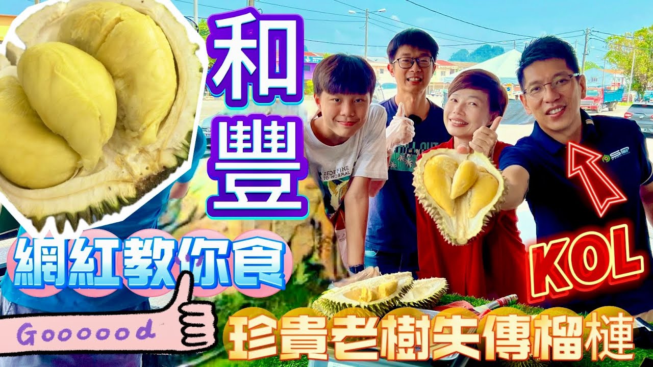 🔹失傳的榴槤🔹🇲🇾 Malaysia’s vanishing durian​⁠​⁠ 和豐網紅逐一介紹㊙️尖篤尖尾恐龍花生仔品種 #mangohk #mm2h