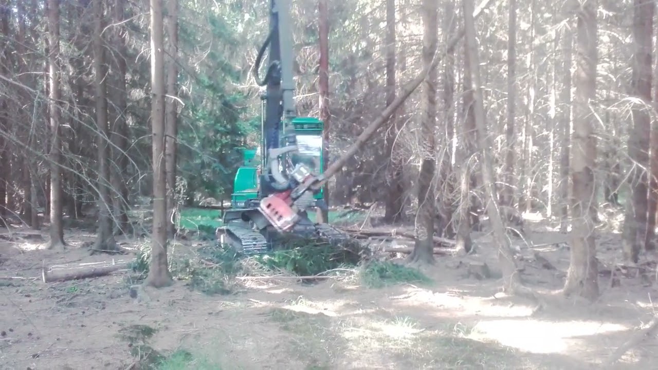 Neuson 11002 MM forest