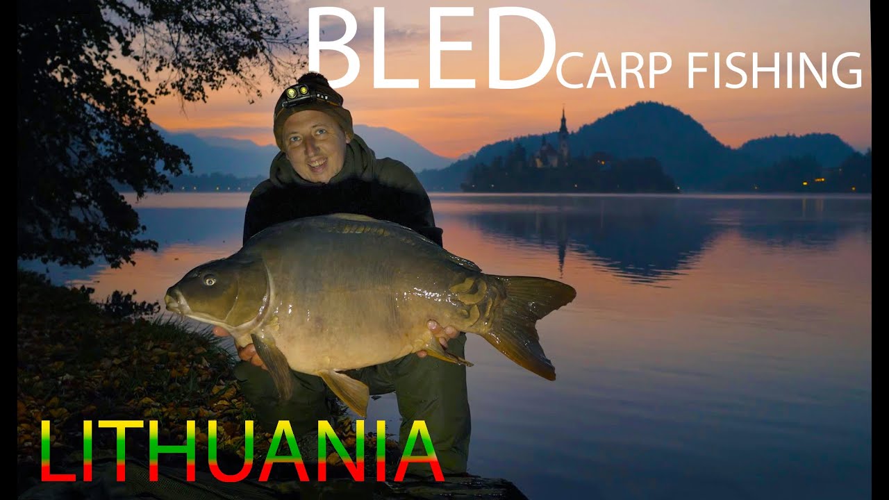 Bled Carp Fishing Lithuania. Žvejyba Slovėnijoje Bledo ežere.