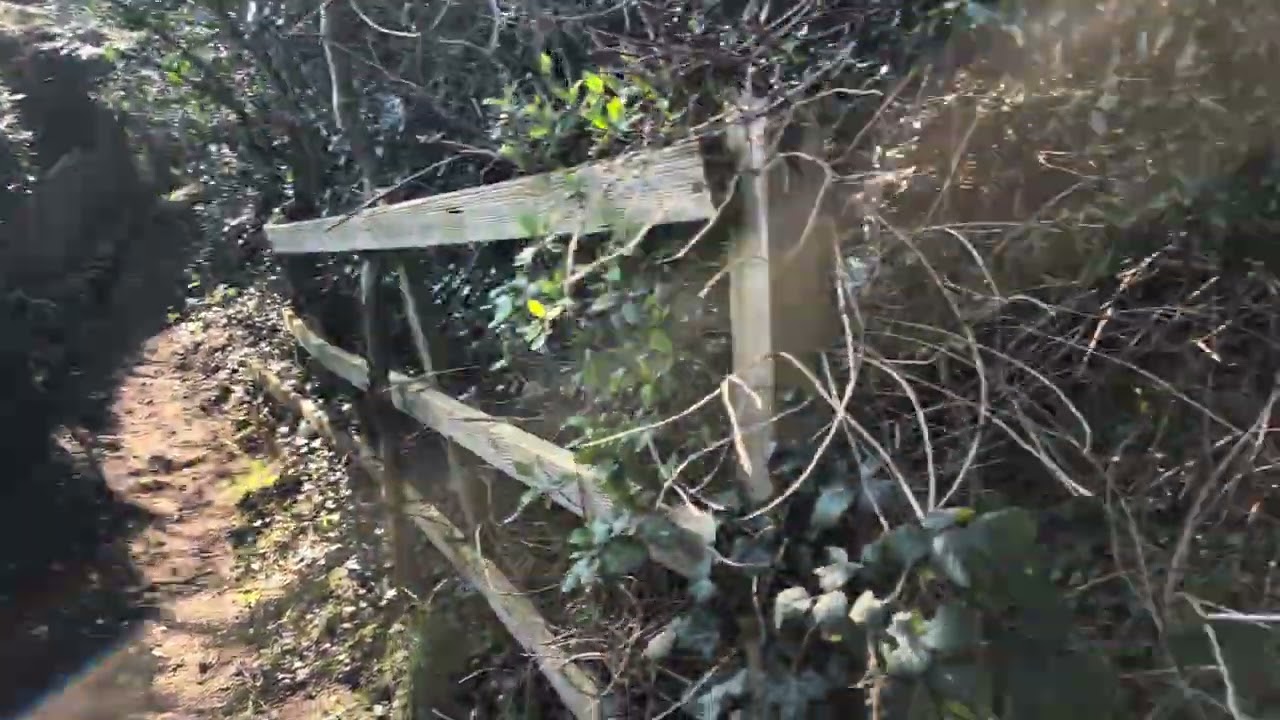 4K/60FPS🚶Helsby Quarry Local Nature Reserve🚶04/03/2026🚶
