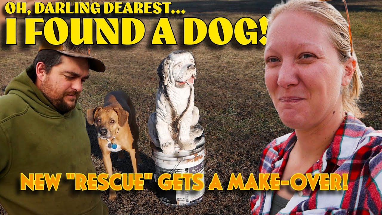 FROM FORGOTTEN TO FABULOUS, RESCUE DOG MAKEOVER