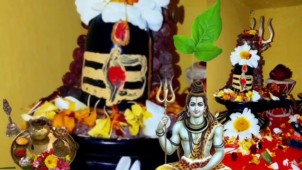 25 जनवरी माघ रविवार सप्तमी तिथि। शमी पत्र और दुर्वा का विशेष उपाय। #रविवार #pradeepmishra #upay 