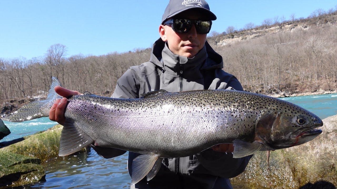 Fishing For BIG Trout Near Niagara Falls: Niagara River Spring Steelhead Fishing