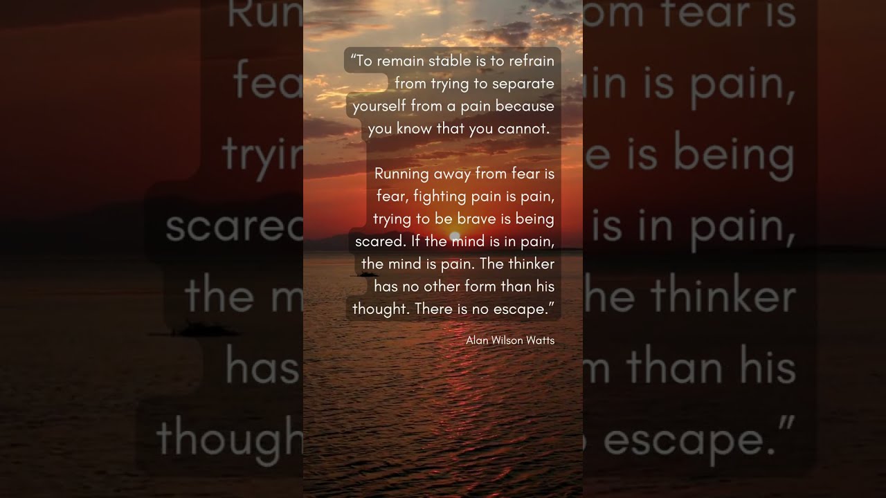 The Wisdom of Insecurity 2 