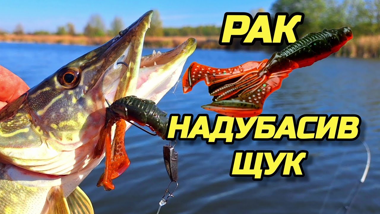 ✅️📣🦞РАК НАДУБАСИВ ЩУК🐟🐟🐟📣✅️