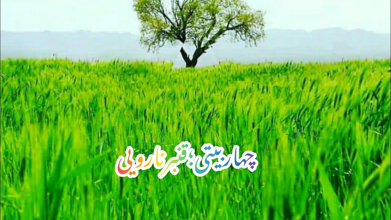 دشتی محلی قنبرنارویی