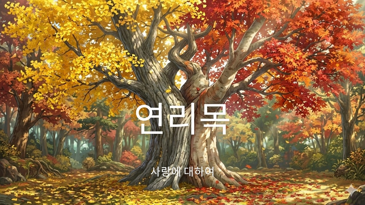 연리목_감성노래