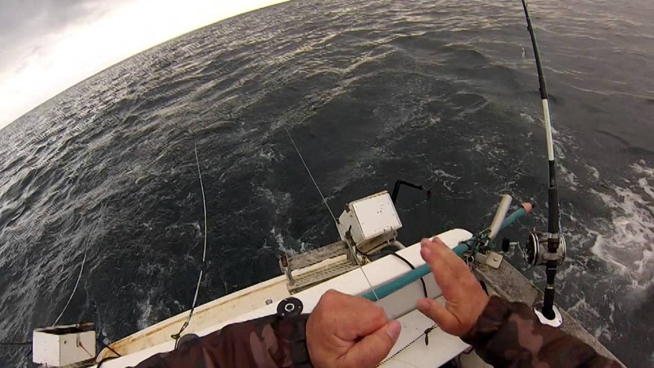 peche a la bonite du 26 mai à hendaye