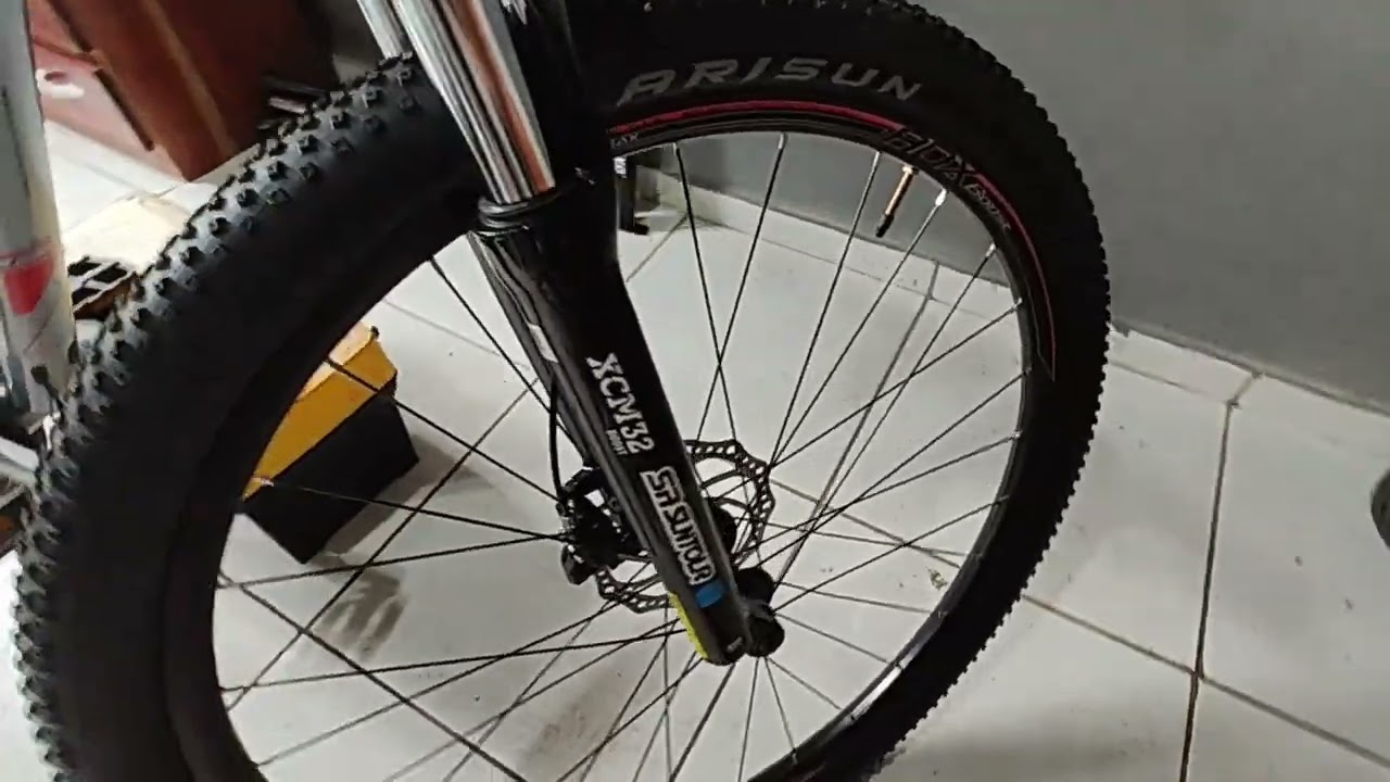 Audax Adx100