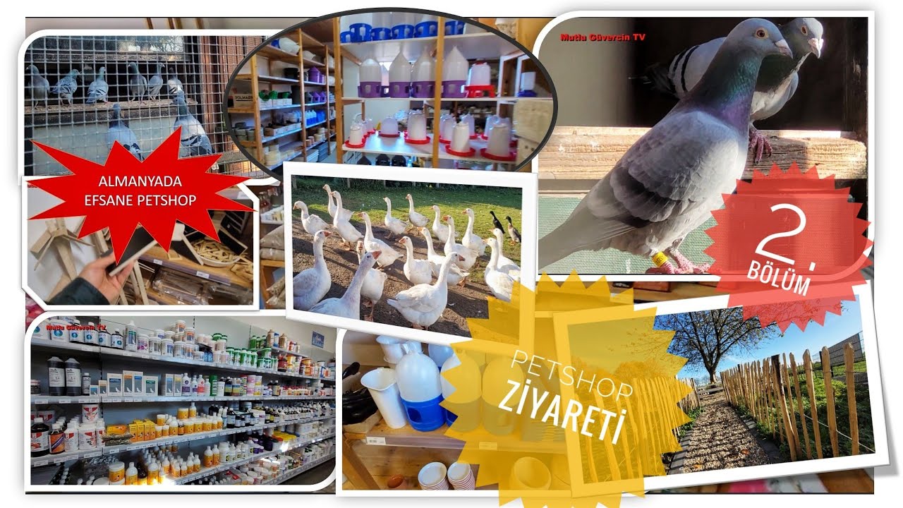 #EFSANE  EVCİL #HAYVAN  DÜKKANI #PETSHOP ZİYARETİ  ALMANYA -  2. BÖLÜM -  BİG SHOP FOR BIRD AND MORE
