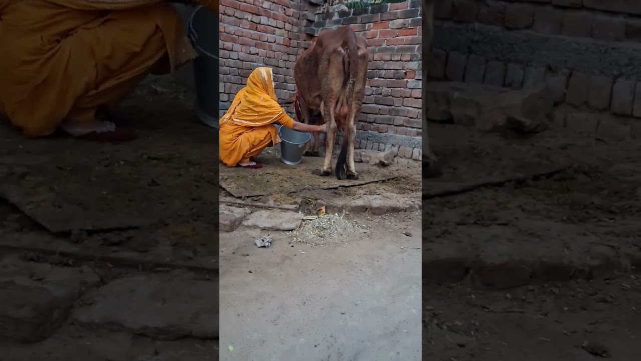 सास कर रहीं थीं धीरे धीरे बहु की चुगली फोन में हुई सारी बातें रिकॉर्ड 🤣🤣 saas baahu ki funny video# 