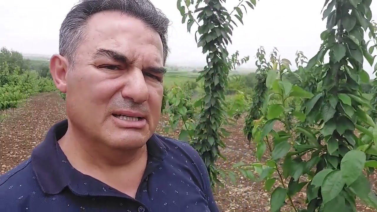 Modern Meyve Yetiştiriciliği Konusunda Bilgi Paylaşımları İçin Abone Olunuz