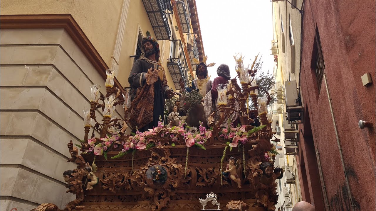 Cuatro Torres |Petalá | Nuestro Padre Jesús de la Salud Borriquilla| Jaén| Domingo de Ramos | 2024 |