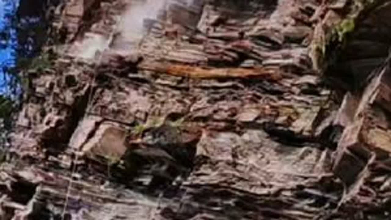 每天靠一根绳子，一个锤子，一根缸尖，一个口袋在百米高悬崖峭壁上采猴结，你知道猴结有什么用吗？@《山野村夫》潘哥