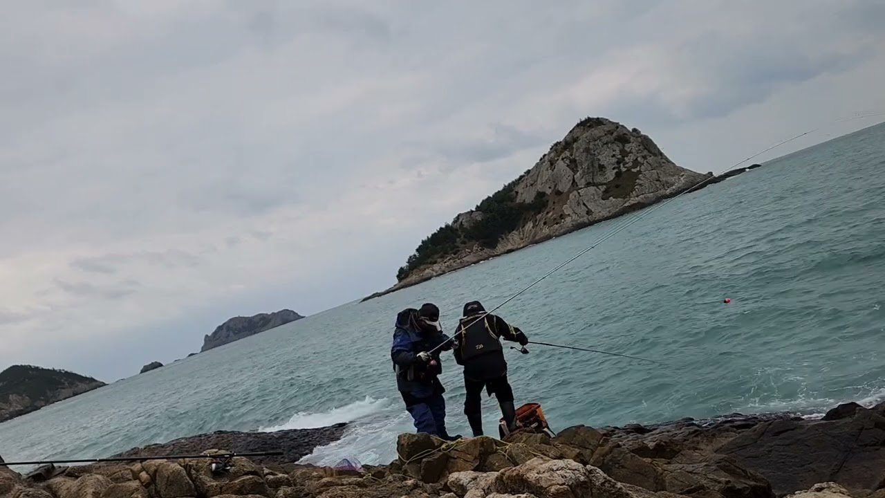 추자 대물 감성돔 주의보 상황에.인생고기 ...