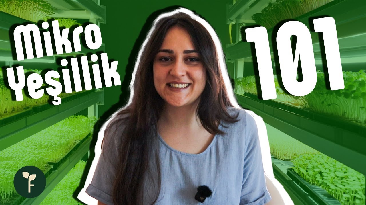 Mikro Yeşillikler 101: Nedir? Faydaları Nelerdir? Nasıl T&uuml;ketilmelidir?