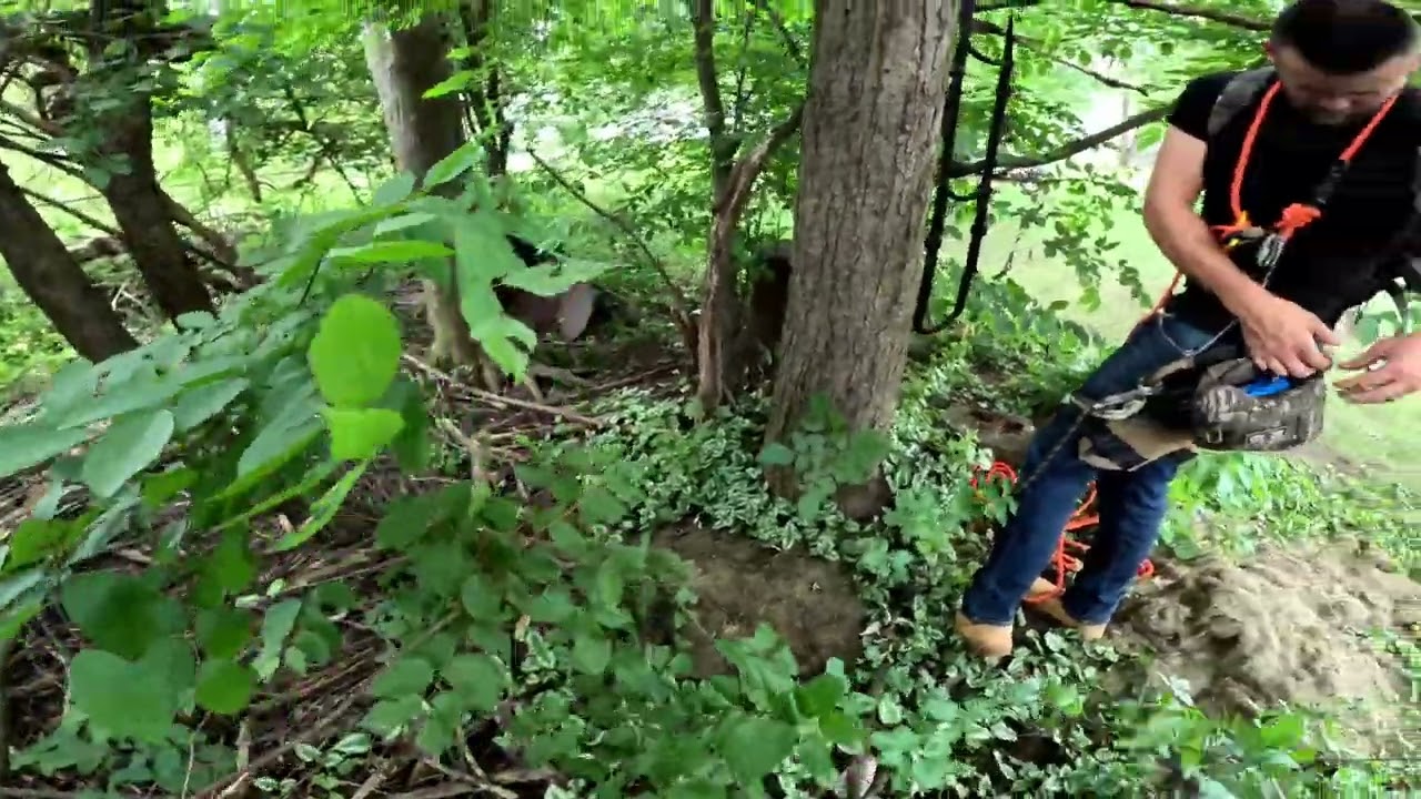 Teaching How to One-Stick