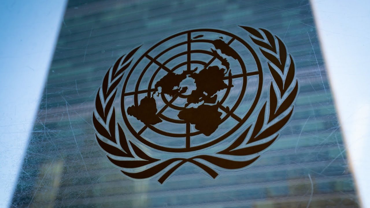‘Ludicrous’: UN’s climate hysteria continues to escalate