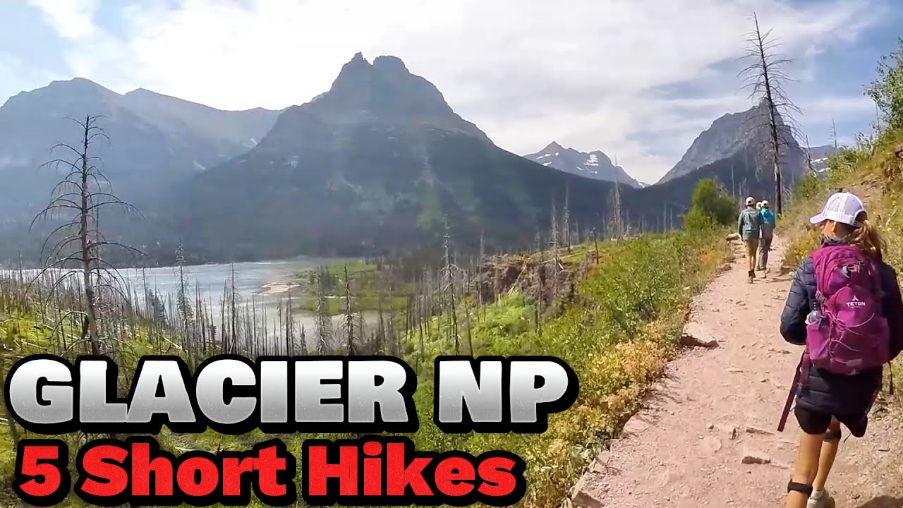 5 Essential Beginner Hikes in Glacier National Park