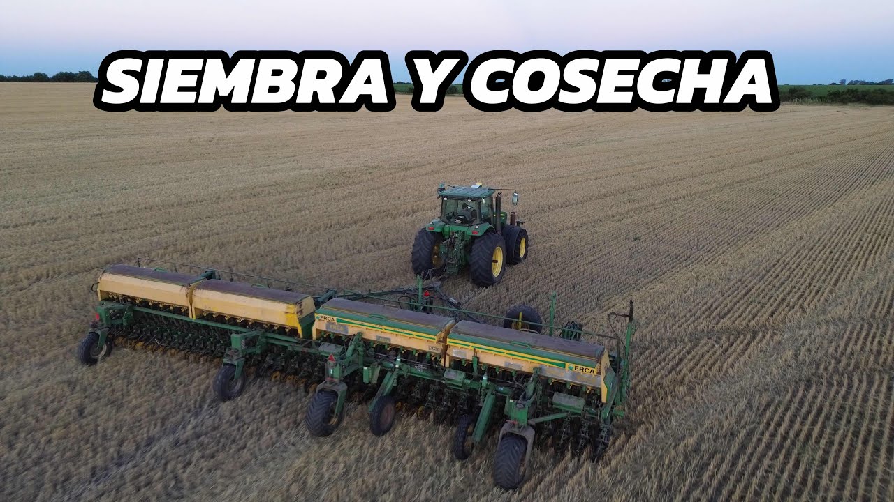 SEMBRANDO SOJA y COSECHANDO TRIGO en el MISMO CAMPO, FERTILIZANDO MAIZ antes de la LLUVIA!