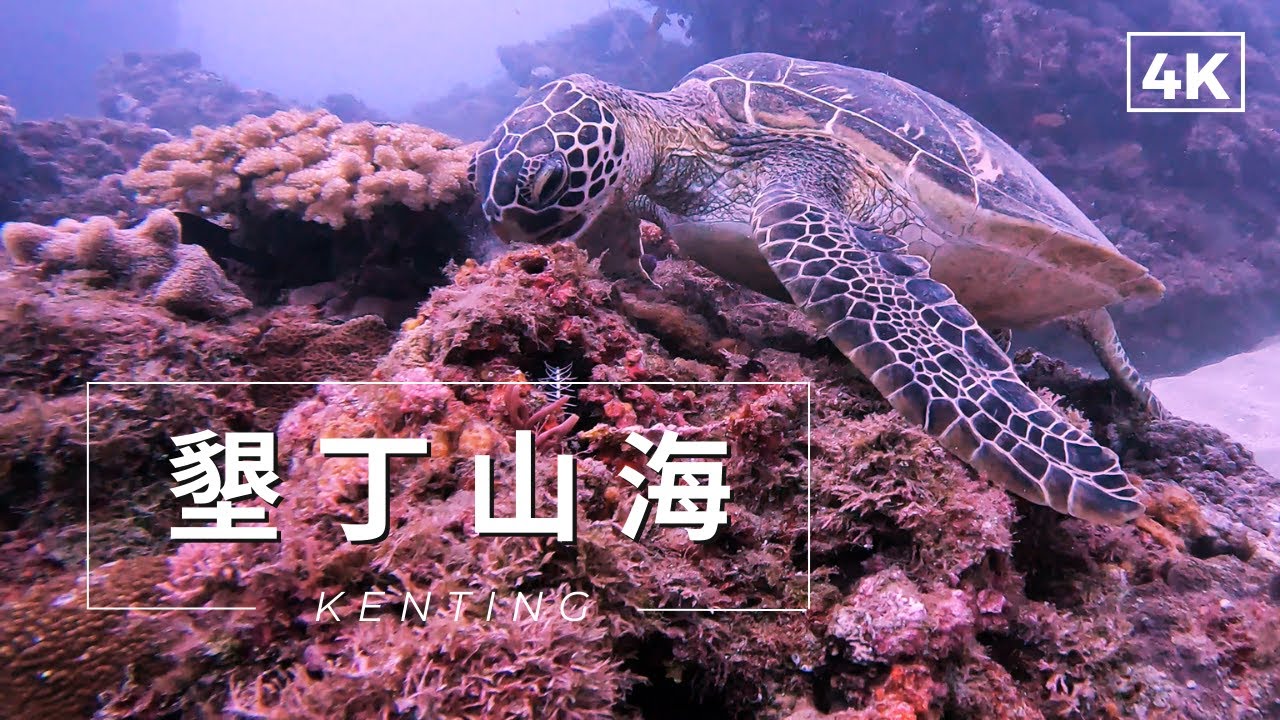 【墾丁潛水 山海】初探 山海。SCUBA DIVING in Shanhai in Taiwan