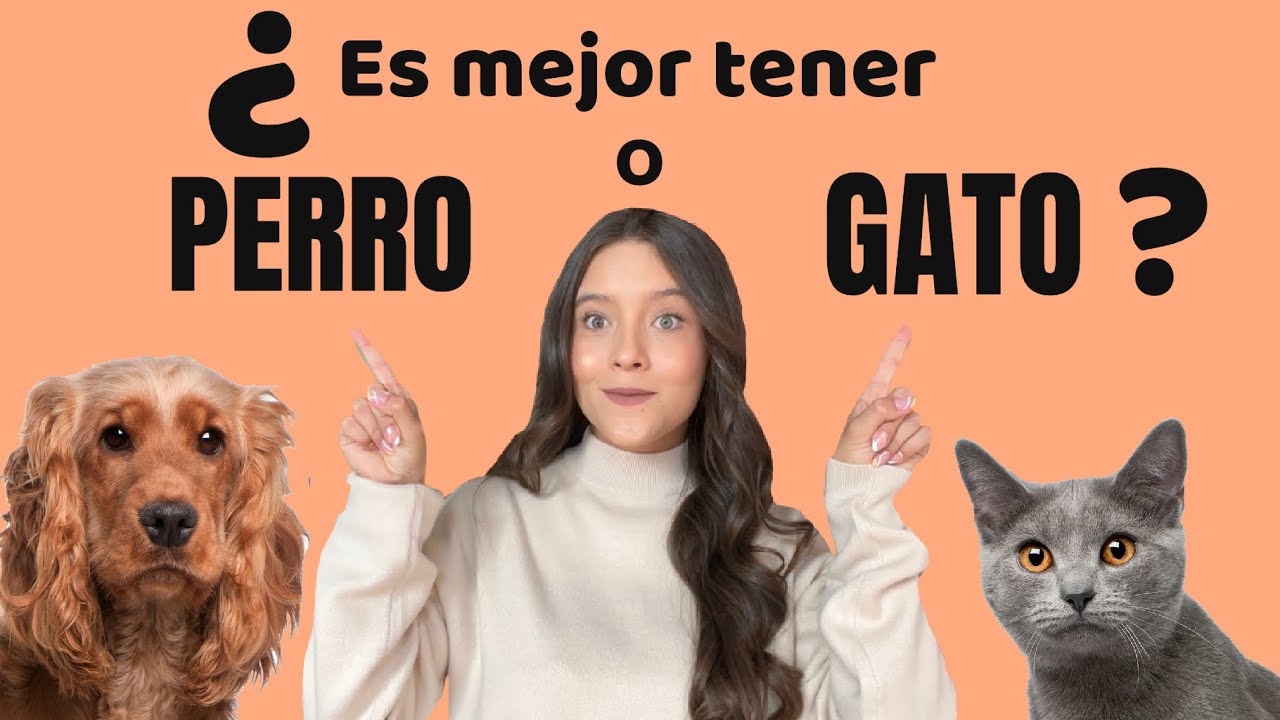 ¿ES MEJOR TENER PERRO O GATO? - Lauvet