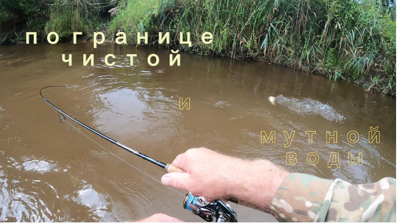 по границе чистой и мутной воды