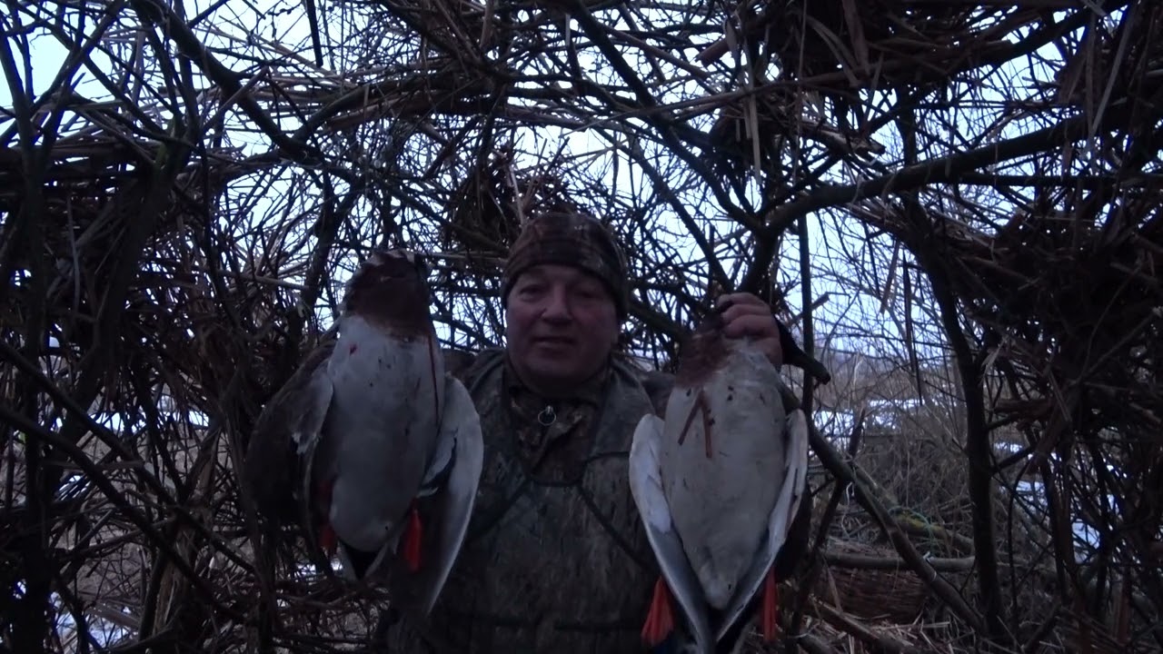 Весна, открытие! Охота на уток 2026 03 20
