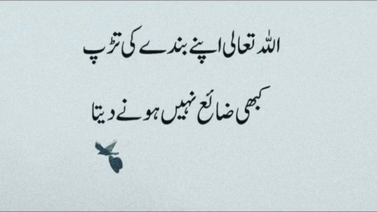 Quotes About Allah in Urdu | Beautiful Islamic Quotes in Urdu | Heart Touching Quotes | Hindi Quotes