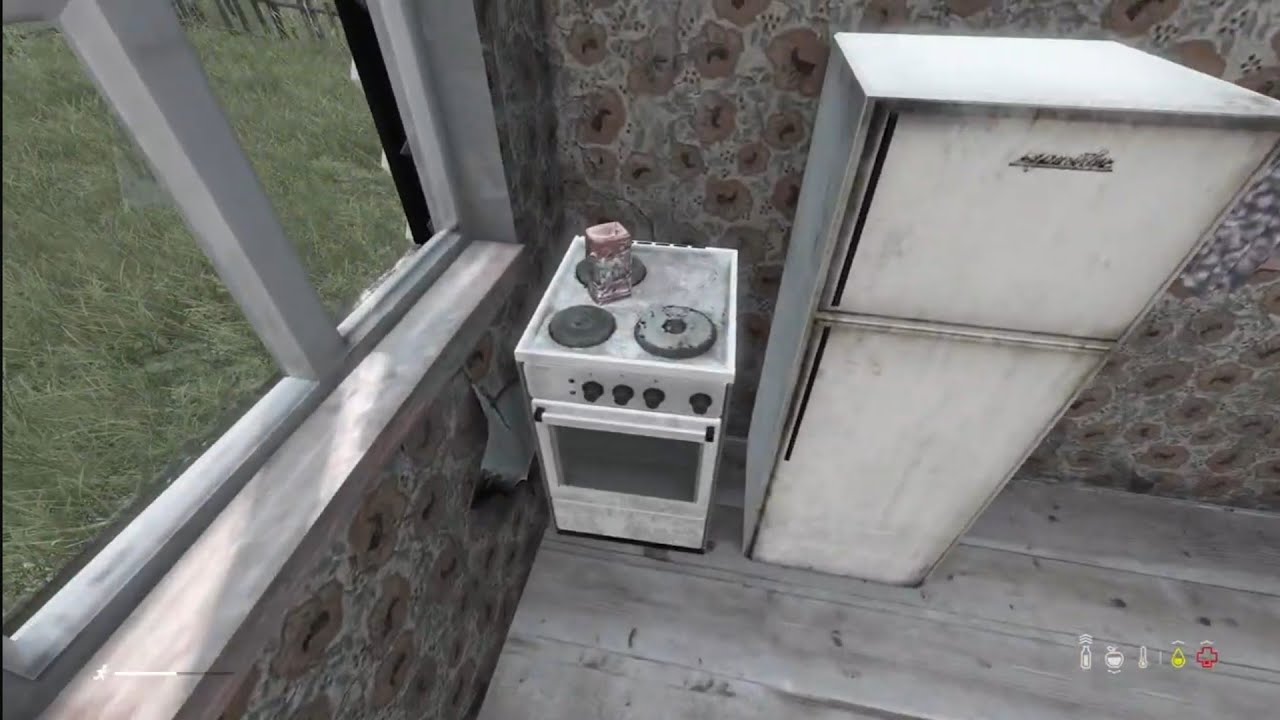 DayZ - 100% Rice