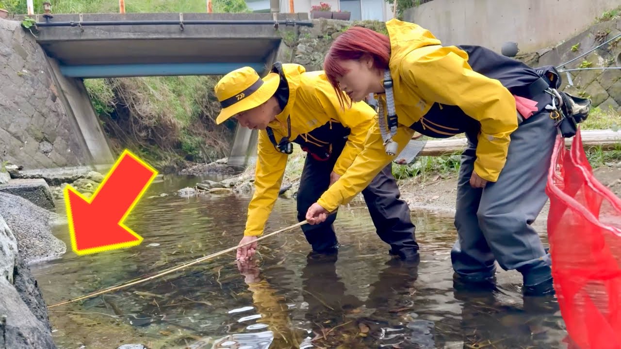 住宅際の水路で天然うなぎが即釣れる❗️うなぎ穴釣りが最強すぎる‼️